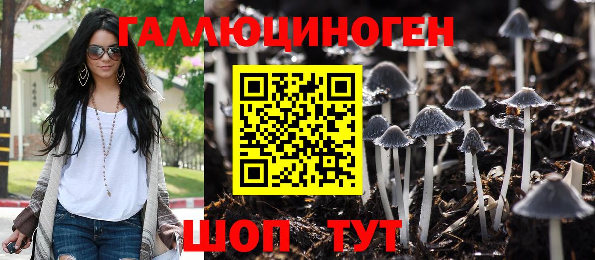 Псилоцибиновые грибы MAGIC MUSHROOMS  купить   Лесной  Вход с VPN  Галлюциногенные грибы ЛСД 