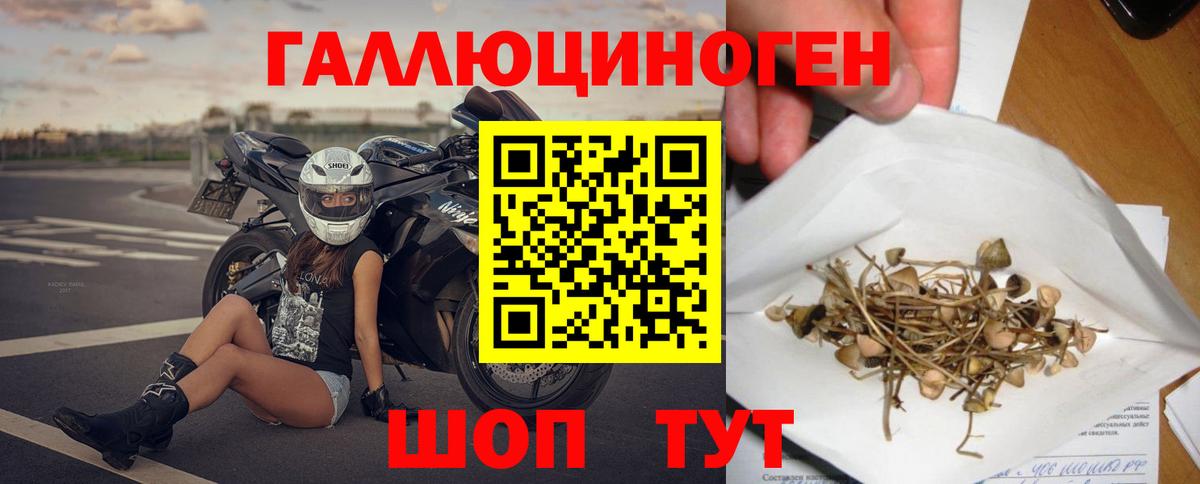 Галлюциногенные грибы Magic Shrooms Лесной